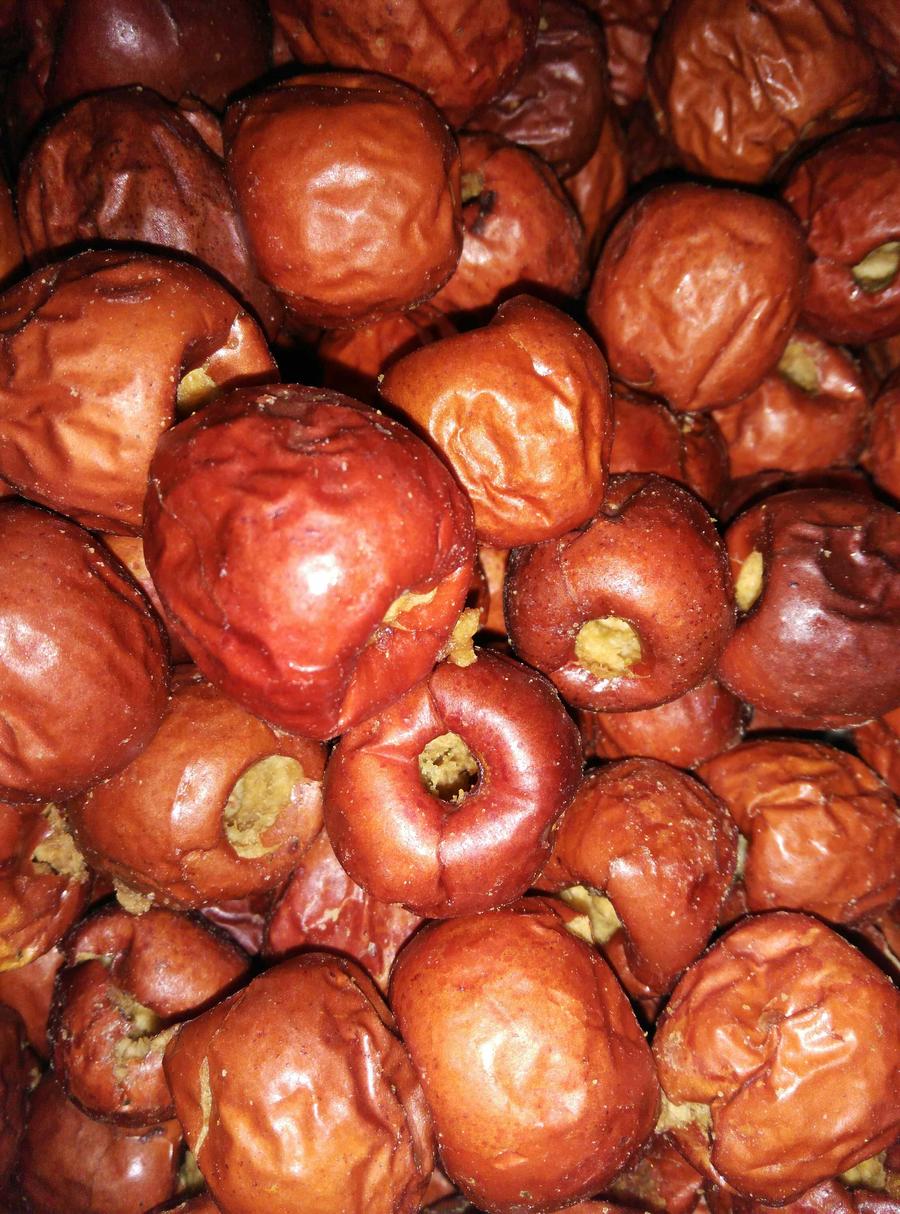 河北黃驊:大棚冬棗采收忙