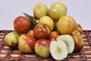 金秋你不上黃驊來(lái)走一趟,那就太遺憾了 因?yàn)榈迷俚纫荒? class=