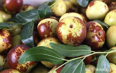 冬棗的營(yíng)養(yǎng)價(jià)值,你知多少