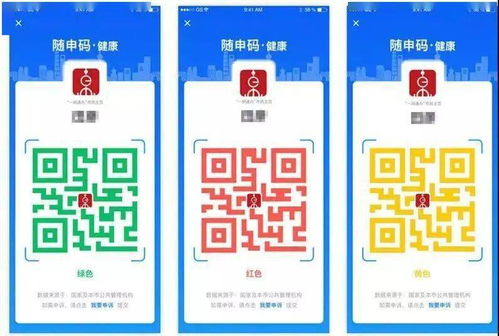 江楊市場入場人員隨申碼亮碼指南